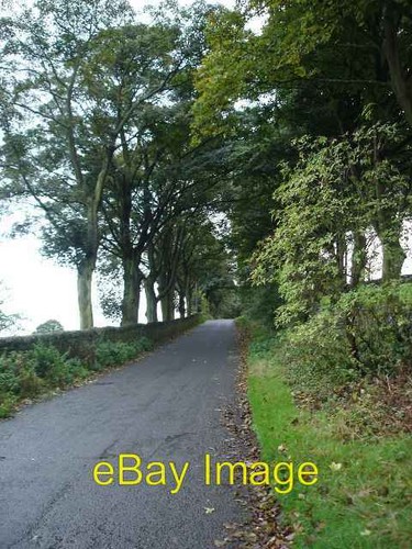 Photo 6x4 hollins lane - photo,